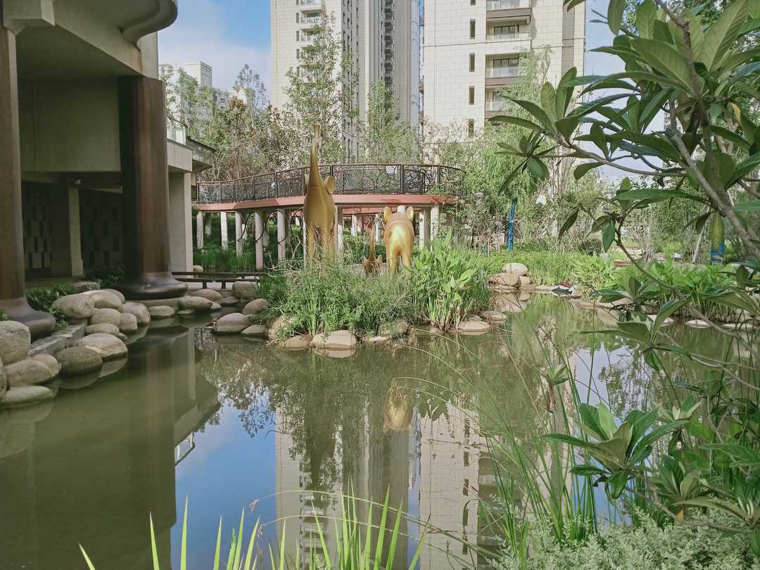 忆当初青春年少,再忆青春完整版