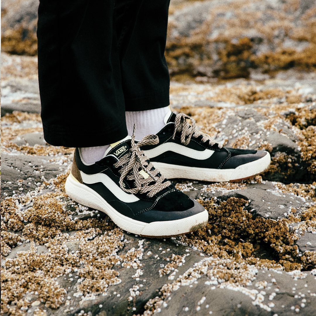 vans冷门鞋型男,芳心收割机全文在线阅读