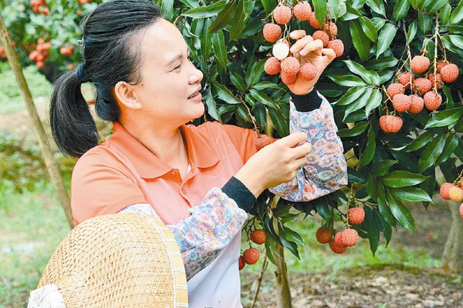 想做自媒体挣钱不知从哪里开始,想做自媒体却不知道怎么入手