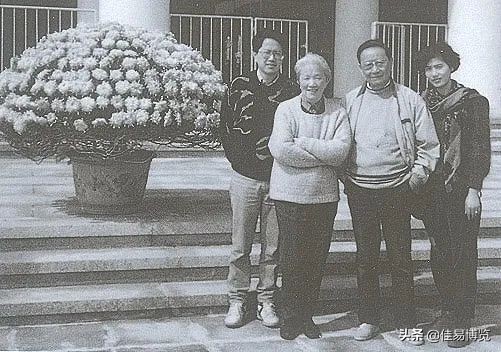 张可风是什么电视剧,张可风的作品