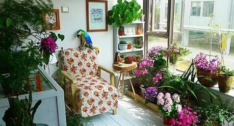 种植生姜需要天天浇水,生姜种植苗期松土的好处