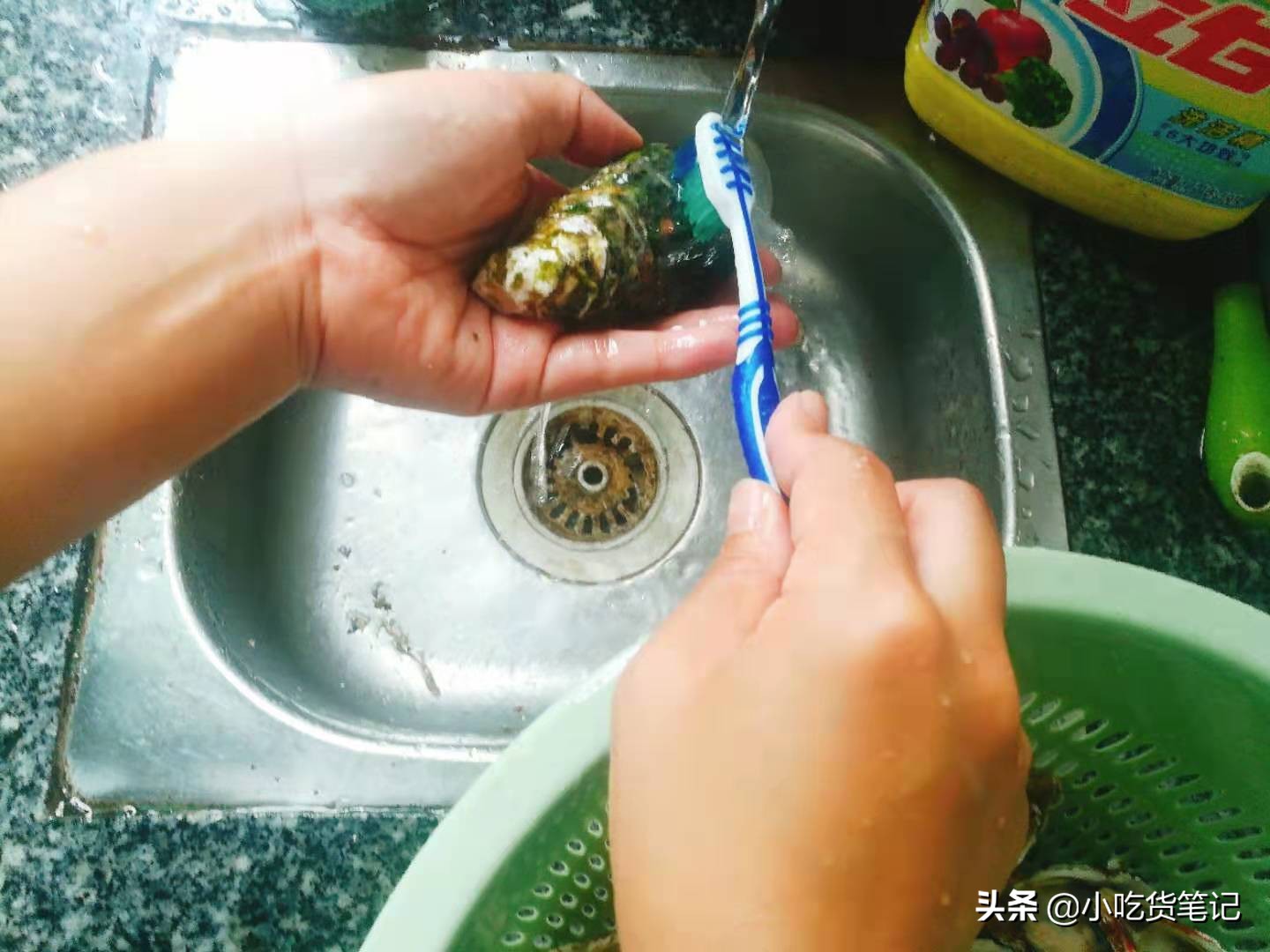 淘宝烤生蚝,生蚝1元1个店