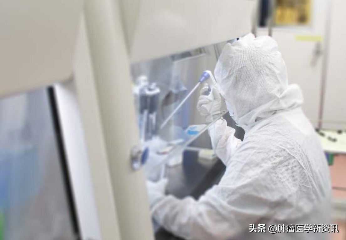 日本发明抗癌药免疫疗法,日本最新免疫治疗癌细胞