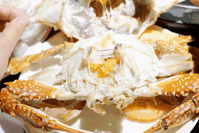 广东小帕劳,下川岛小帕劳