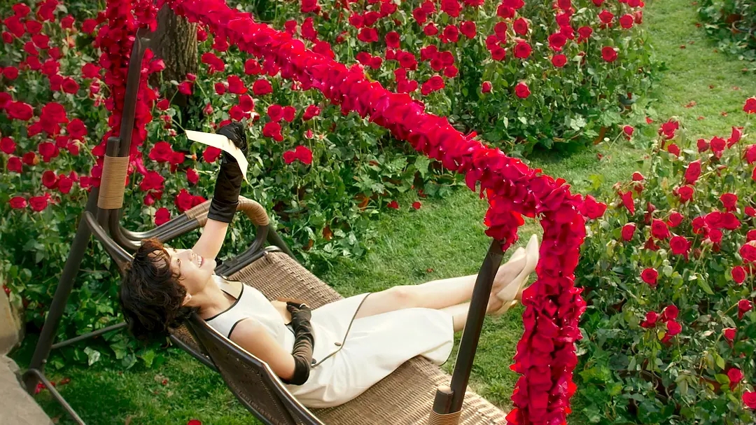 喜宝爱情片段,喜宝的爱情和年龄无关