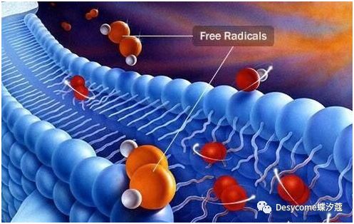 如何减少脸上的胶原蛋白,锻炼身体脸上胶原蛋白会流失吗