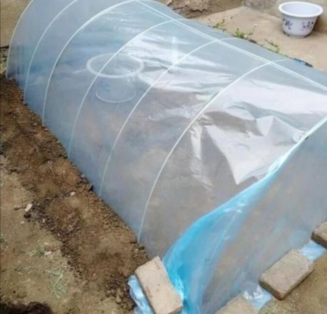 花卉怎么保温过冬,花草怎样降温效果最好