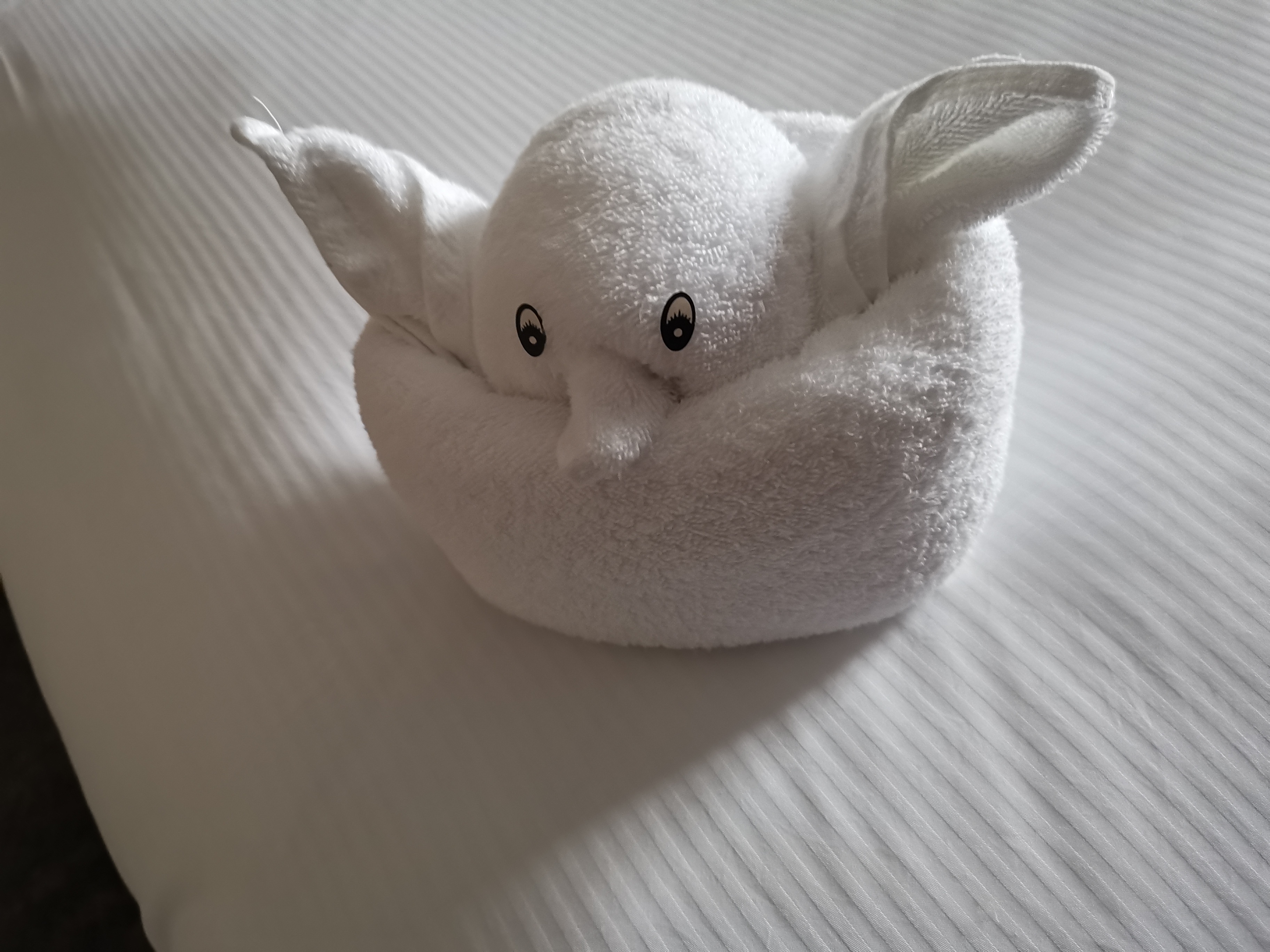 广州汇华希尔顿逸林酒店月饼,广州汇华希尔顿逸林酒店自助餐厅