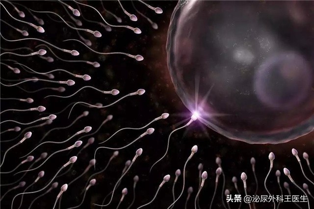 男性多吃什么补肾补精,男性吃什么补肾最好