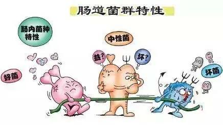 长期吃阿莫西林对身体有什么影响,长期服用阿莫西林有什么危害吗