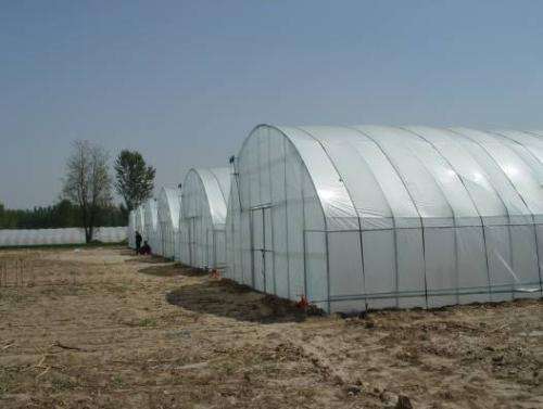 1000平米薄膜温室大棚造价,上海薄膜温室大棚造价一亩多少钱