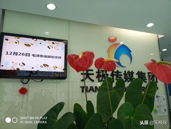 免费流量利用方法,免费流量是什么套路