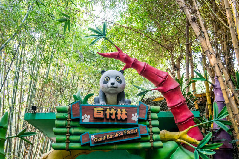 玩转广州长隆野生动物世界之行,广州长隆动物世界游玩攻略图