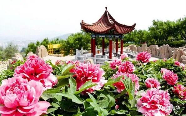 欧阳修袁枚,韩愈袁枚和欧阳修