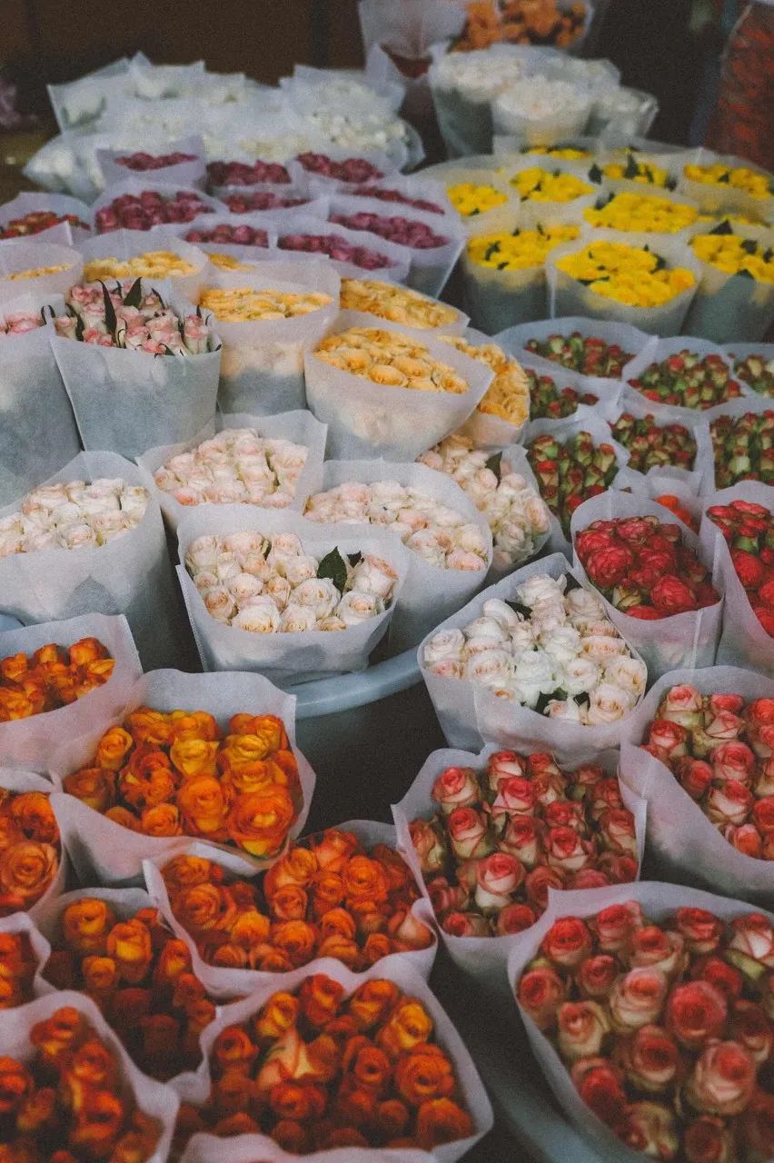 被大理丽江掩盖风头又怎样？它才是云南No.1！5月它太美了