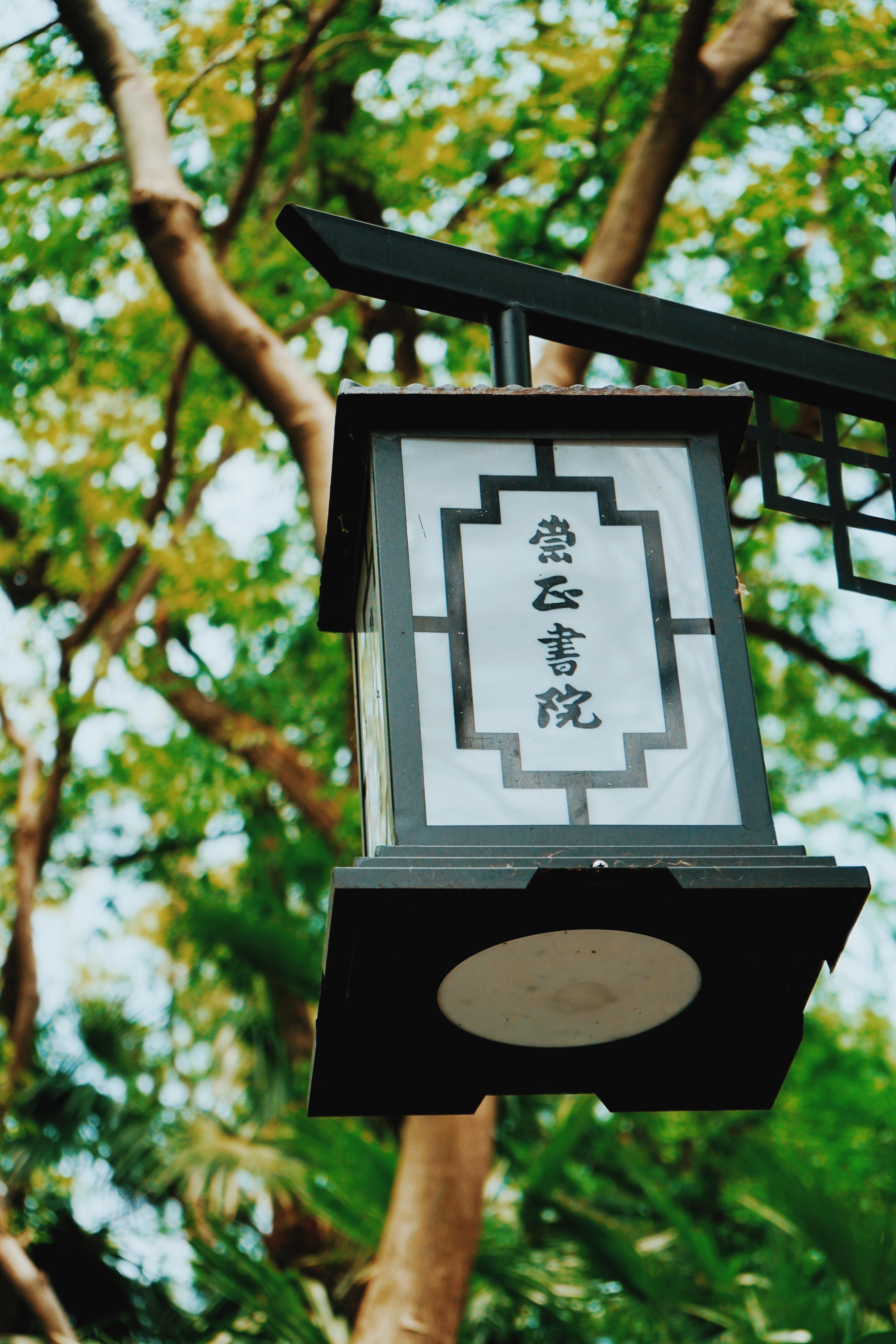 森林公园清凉山,清凉山一道美丽的风景线