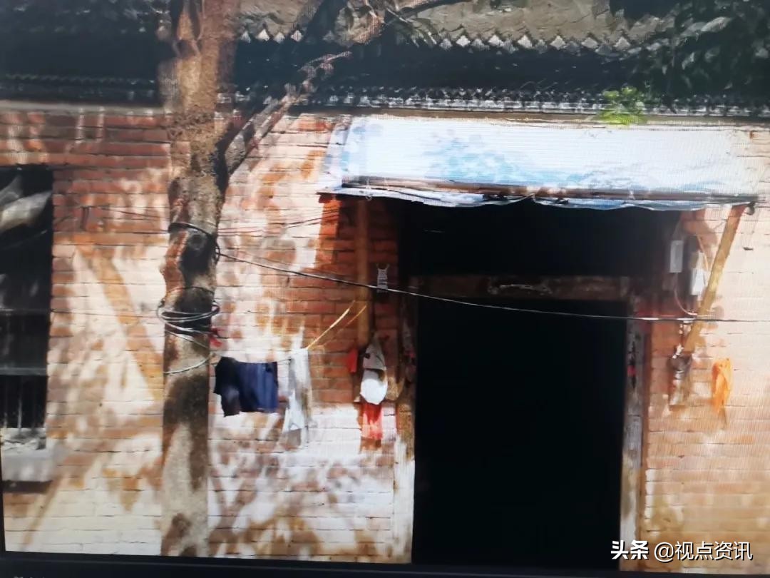 彩色的梦书法家,彩色的梦清华附小