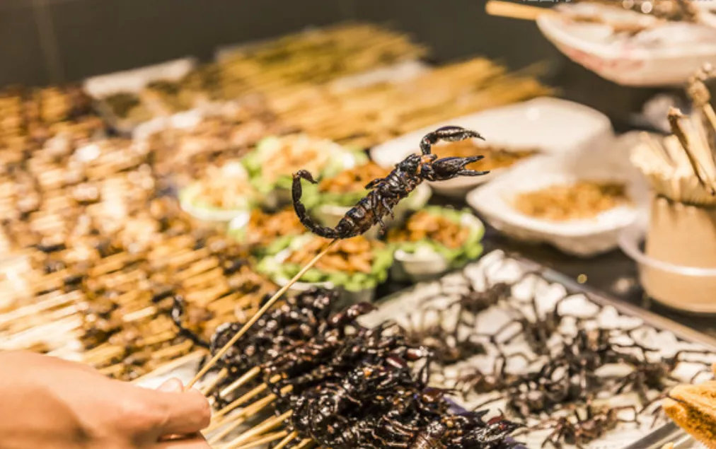 昆虫蛋白走红，重口蛆虫备受风投青睐