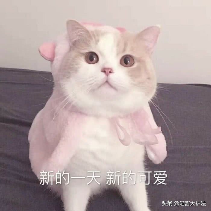 宝宝红屁股是纸尿裤造成的吗,宝宝红屁股其实是父母太坑