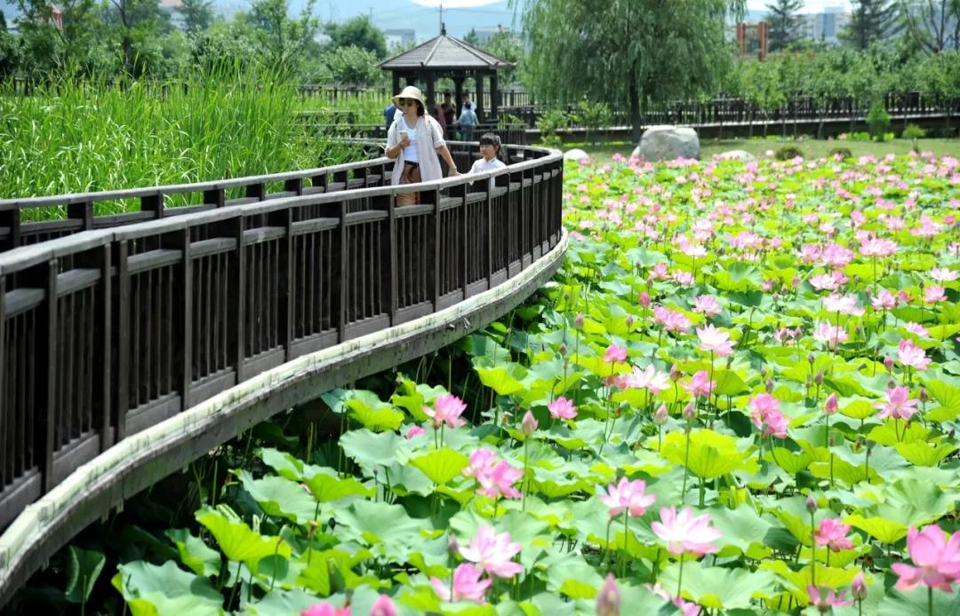 五一羊亭湿地公园游览,清明踏青羊亭湿地公园