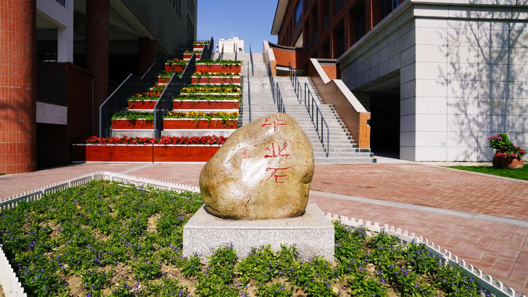 天府新区生活配套,成都天府新区教育配套