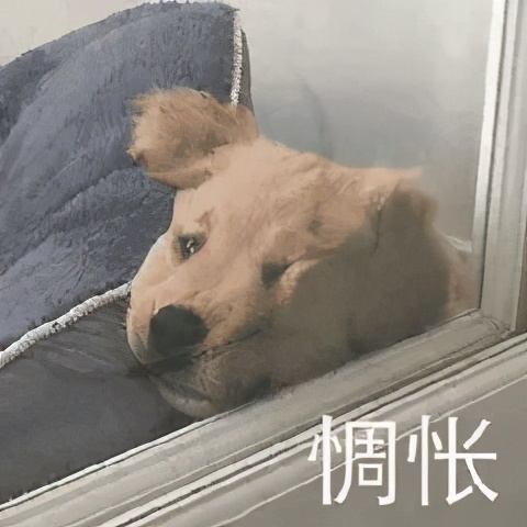 考研失败三次的真实感言,考研三次失败