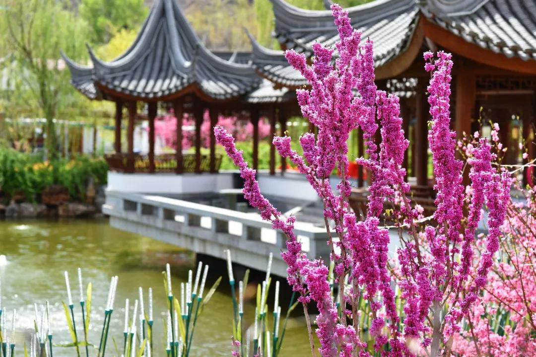 漫步亭台楼阁,河北亭台楼阁避暑山庄