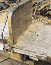 老虎：这是我准备养大吃的，你来凑什么热闹