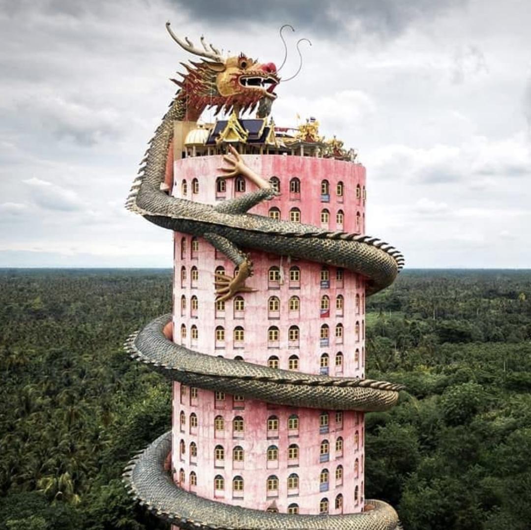 看了就想养的宠物,看了就想抱的宠物