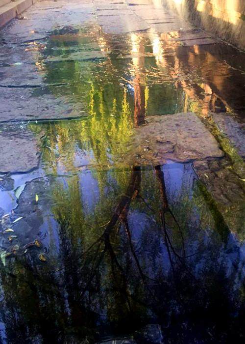 济南十大怪顺口溜,济南10大怪事