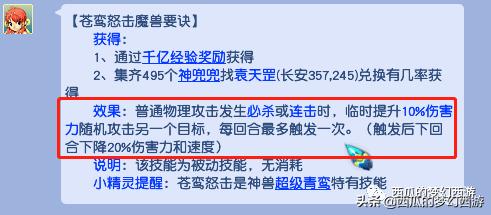 梦幻西游bb环最全攻略,梦幻西游bb鉴定