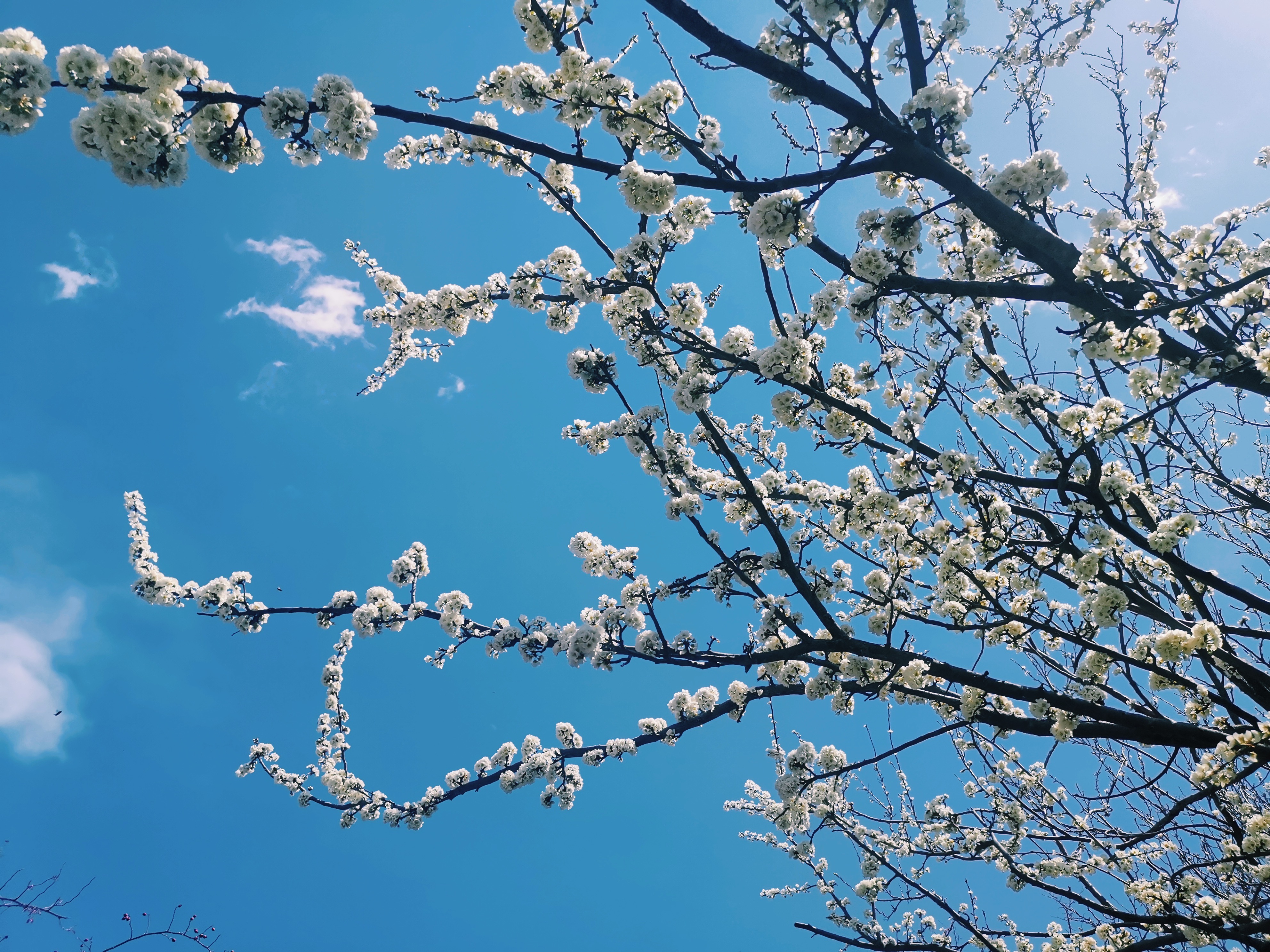 g318骑行上海,自驾g318川藏线分享沿途美景