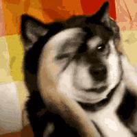 单身男人最好的忠告,聪明的男人要注意什么