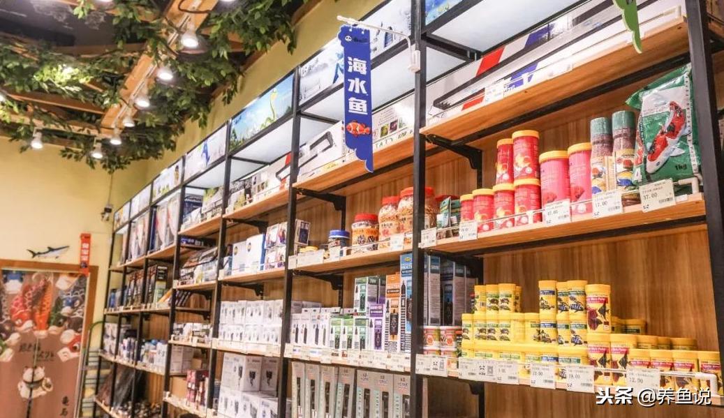买观赏鱼建议在哪买,买观赏鱼去什么地方