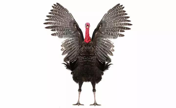 涨知识共同成长,涨知识齐参与