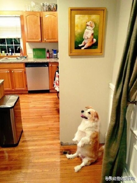 搞笑段子句句滑稽逗趣精辟笑死人,搞笑幽默段子有趣个个精辟滑稽