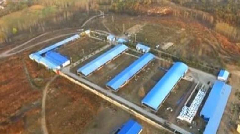 放弃70万的年薪回农村,放弃80万年薪回农村