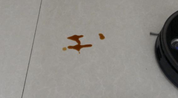 2岁宝宝扫地机器人,5000元内扫地机器人测评排行