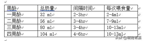 刚出生奶猫怎么救助,流浪猫会怎么对待哺乳期的母猫