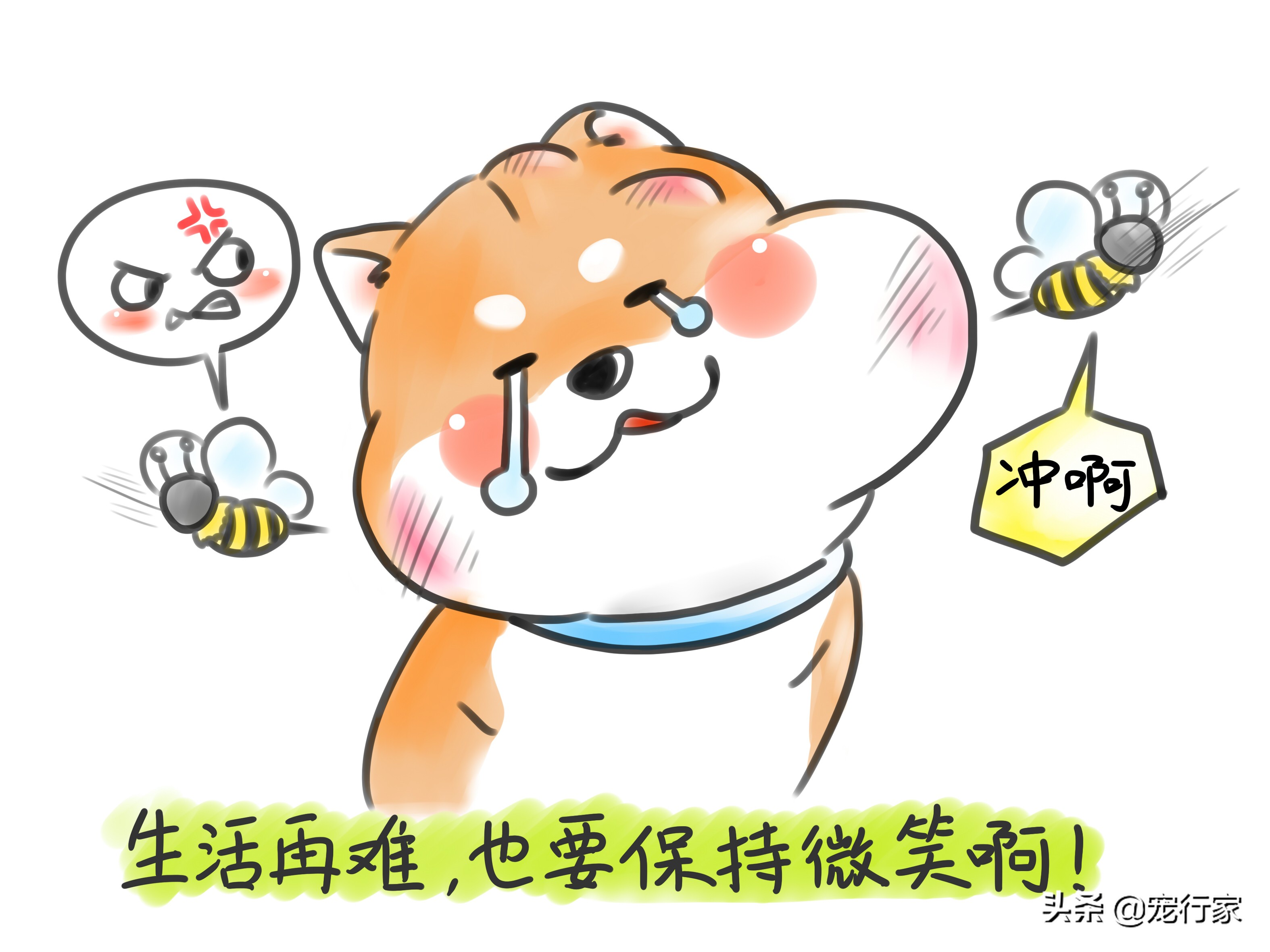 狗被蜜蜂蜇伤怎么办,狗狗被蜜蜂蛰了肿了不精神怎么办