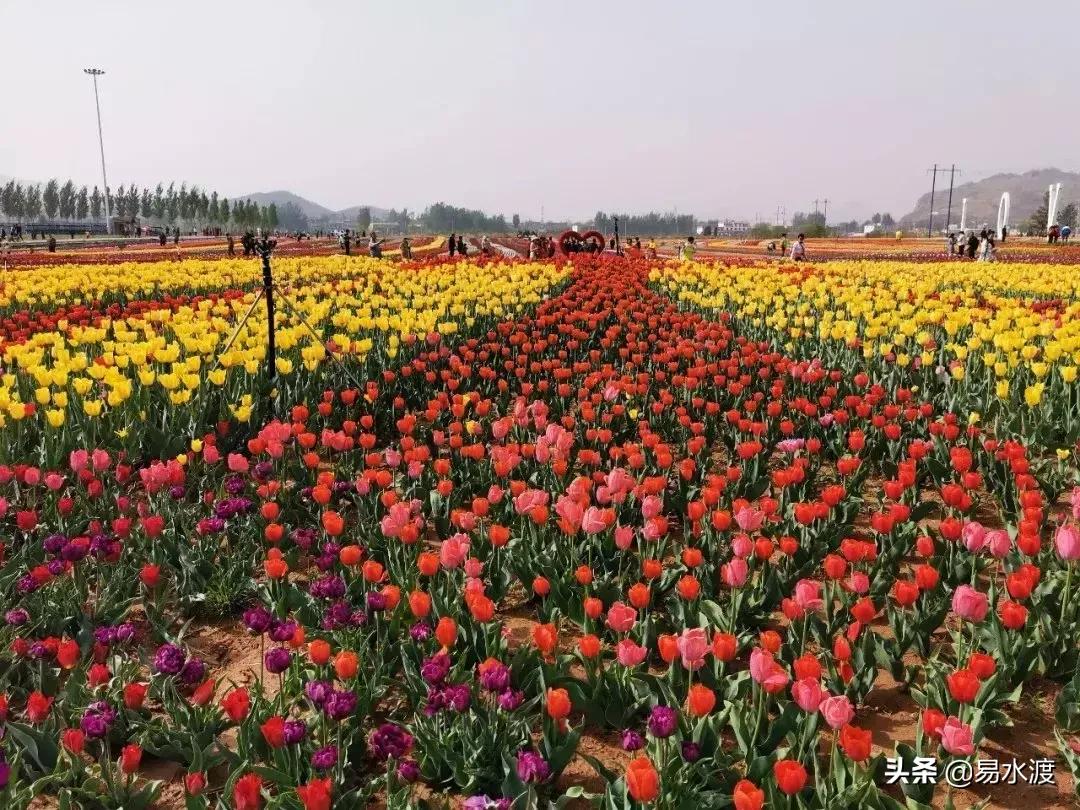 易县好玩,易县谢村文化广场五一