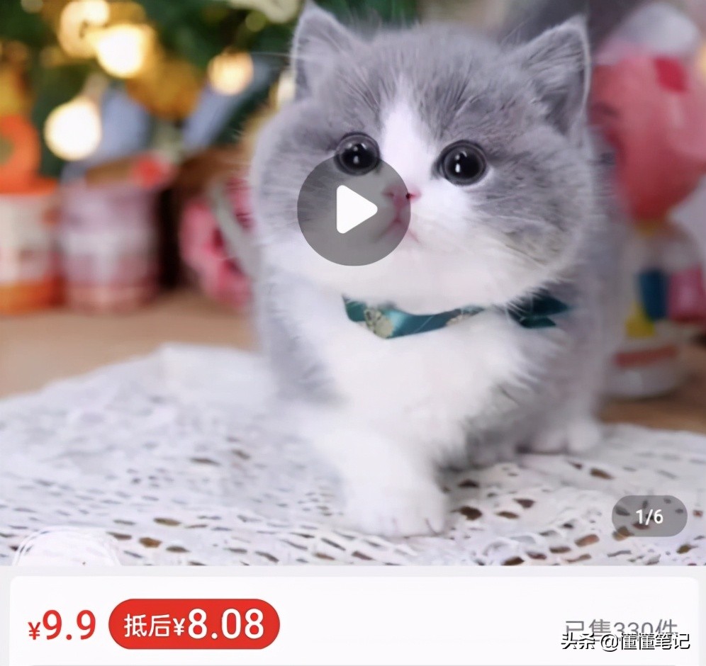 从宠物盲盒到在线“拼猫”,这些宠物商家有多损?