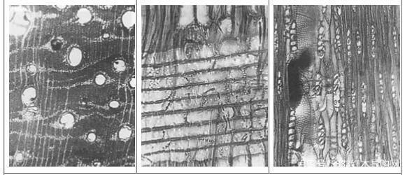 带你认识沉香,带你认识缅甸花梨
