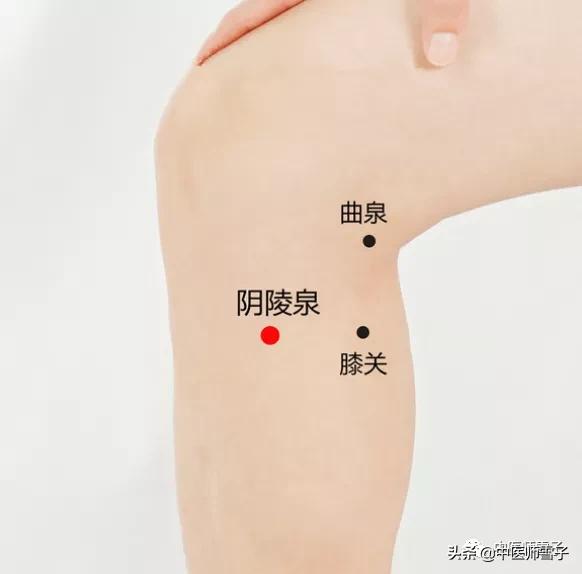 小满养生节气操,小满节气吃哪种食品更养生