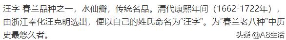 汪字兰花历史,汪姓文化传承