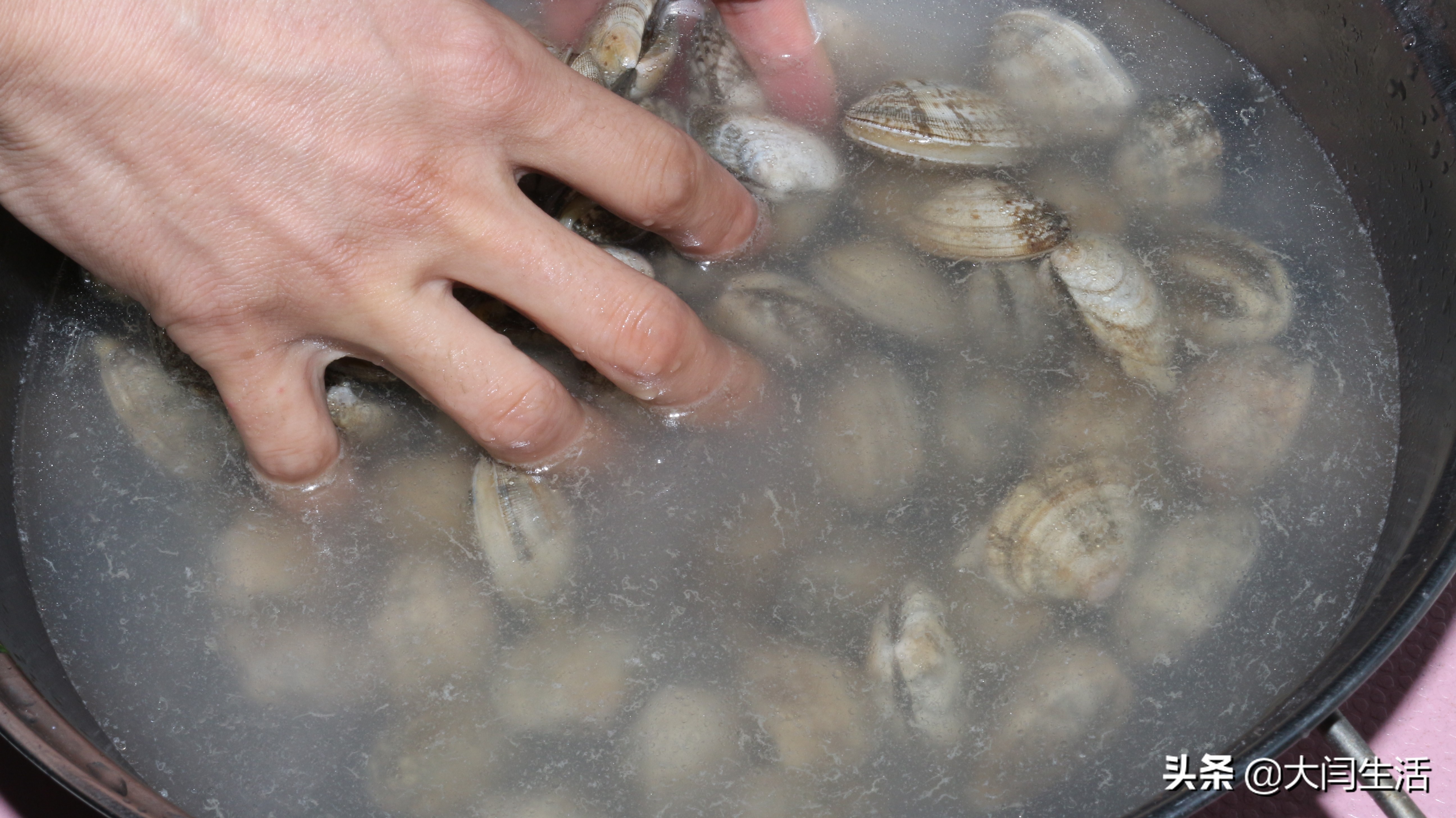 炒花蛤怎么吐沙干净,花蛤吐沙的正确做法