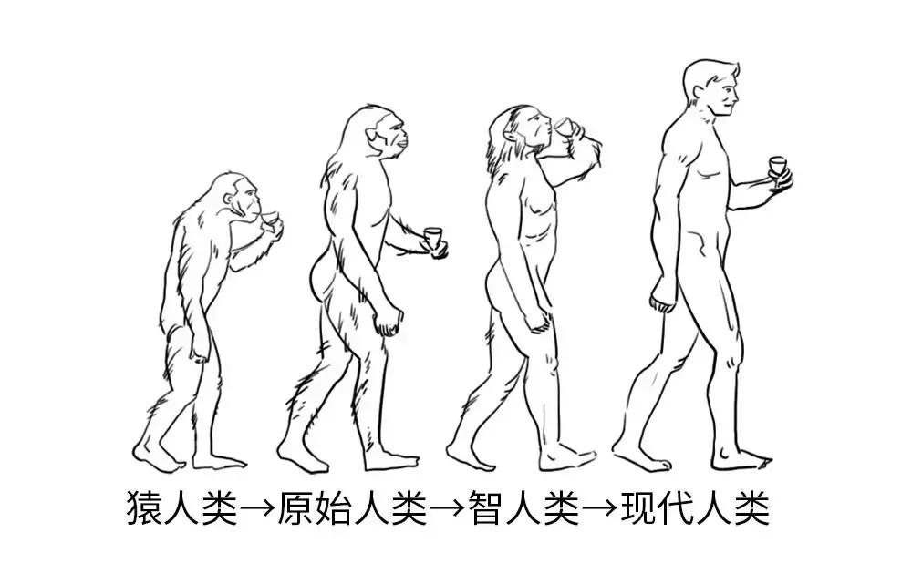 一分钟读懂酒的历史文化,一分钟让你了解酿酒全过程