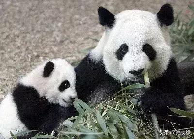 影响人类历史十大事件,影响历史进程的100件事