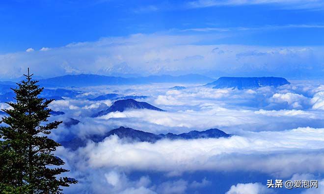 峨眉山和瓦屋山哪个更好,峨眉山一日游精选游记