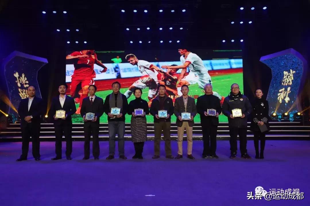成都足球比赛2019,2018足球世界杯冠军战